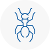 Ant Removals In Frome