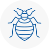 Bed Bug Extermination In Frome