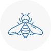 Bee Nest Removal Frome
