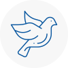Bird Prevention Frome