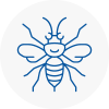 Frome Hornet Nest Removals
