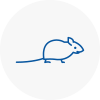 Mice Exterminators In Frome