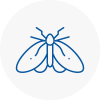 Moth Control Specialists In Frome