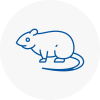 Rat Control Frome