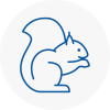 Frome Rodent Removals